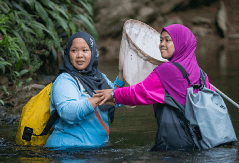 Discover new species of Borneo