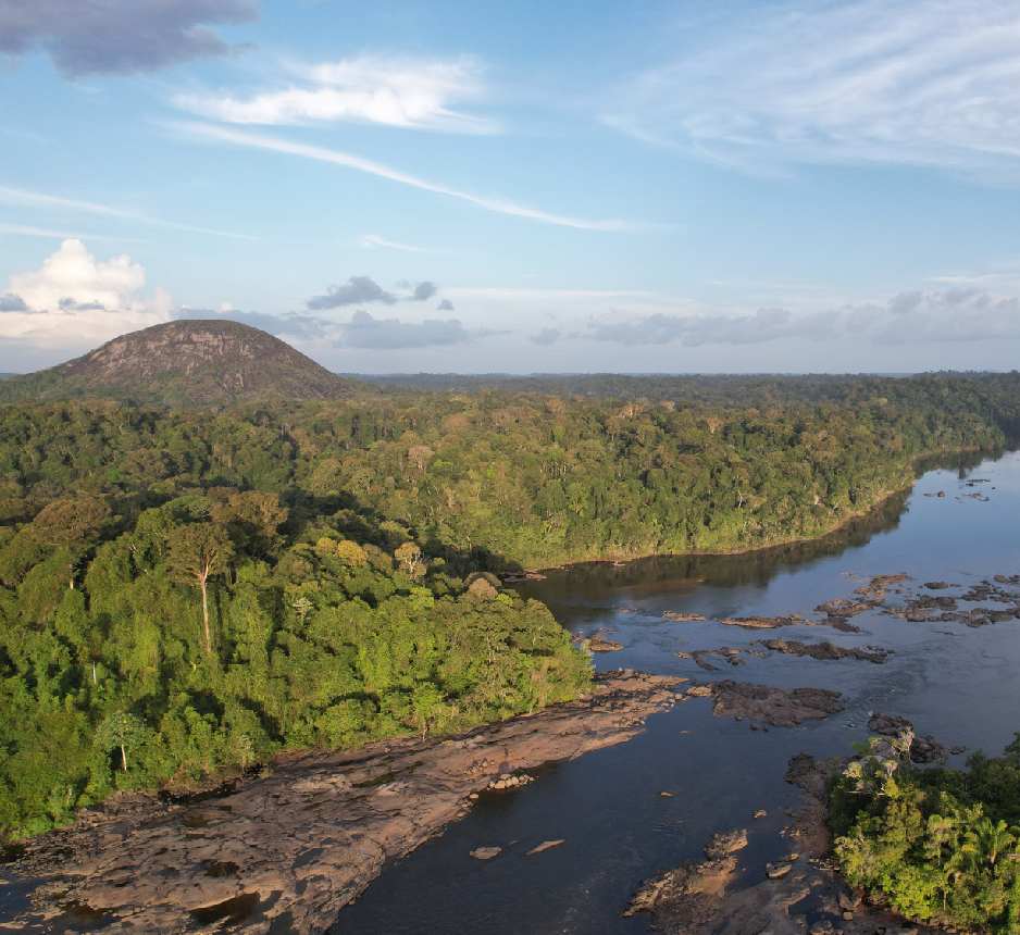 Amazon Expedition Taxon Expeditions