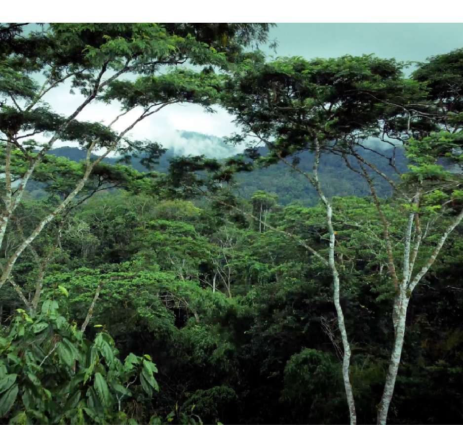 Ecuador Expedition, biodiversity research travel