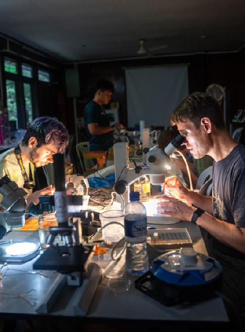 Taxon Expeditions research