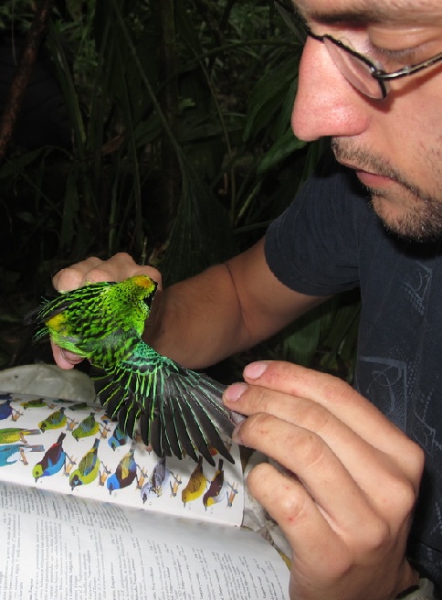 Insect Expedition